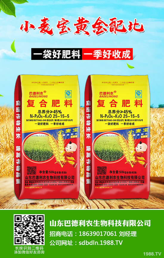     2019��11��28�����؃r(ji��)���B�m(x��)�µ������������߄�(sh��)�A(y��)�y(c��)��