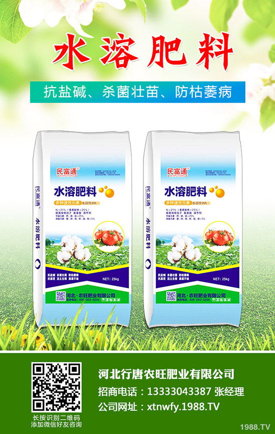 2019.11.29��(f��)�Ϸ����鲻�ز��𣡽��ڏ�(f��)�Ϸʃr(ji��)���߄�(sh��)������