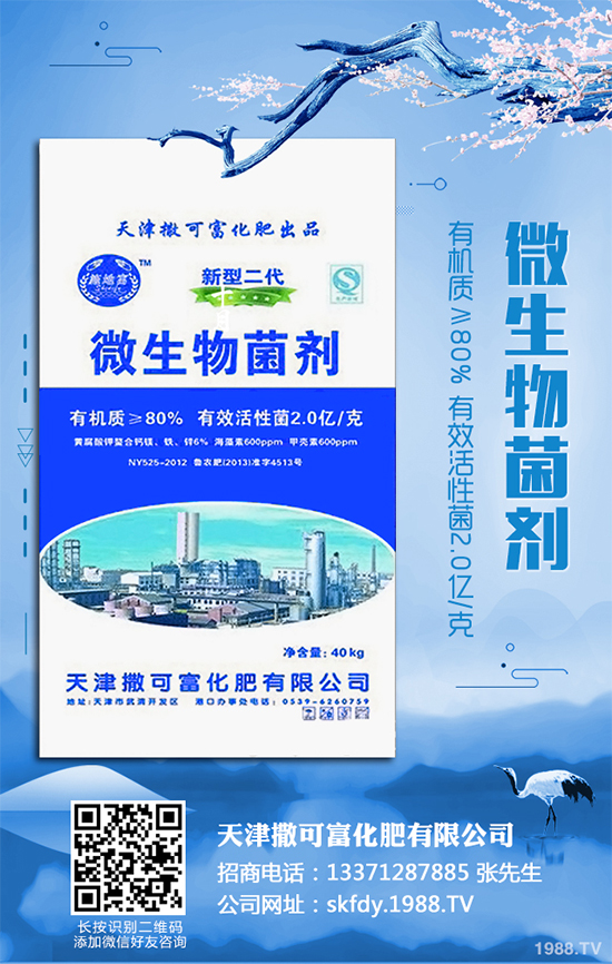 ��Ƥ�����Ժ���S��զ������ԓ��ô��Q�����������