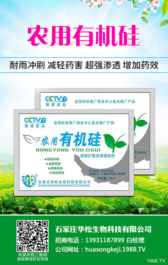 �ʲݵķNֲ��������Щ���ʲݷNֲ��Ҫʲô�ӭh(hu��n)����