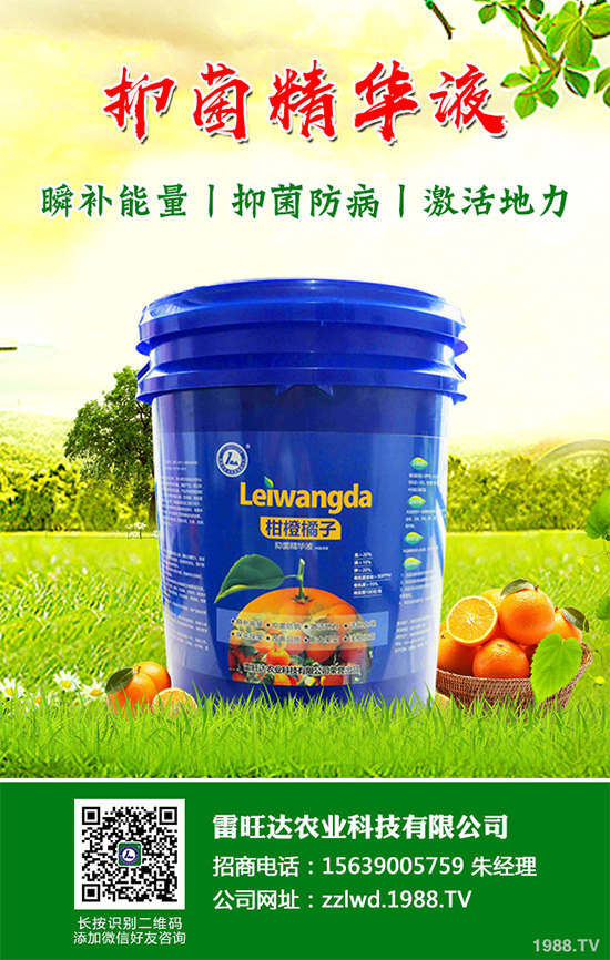 長期低溫寡照，蔬菜長勢差該如何解決？冬季大棚補(bǔ)光的幾項(xiàng)措施