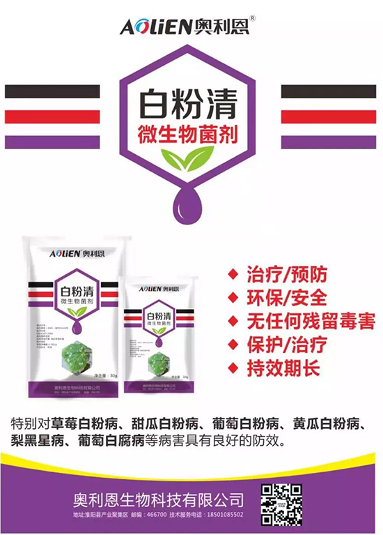 �׷۲�������(f��)�y�p���� ӛס�@��ˎ����Ч���ΰ׷۲����P����