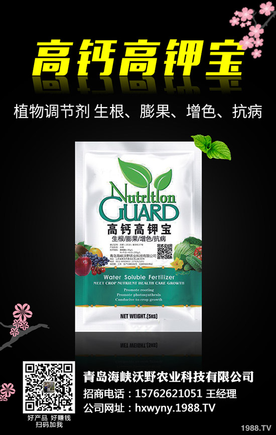 �Ϳ��Nֲǰ��Ҫ�ʂ���Щ�������Ϳ��Nֲ��������Щ��