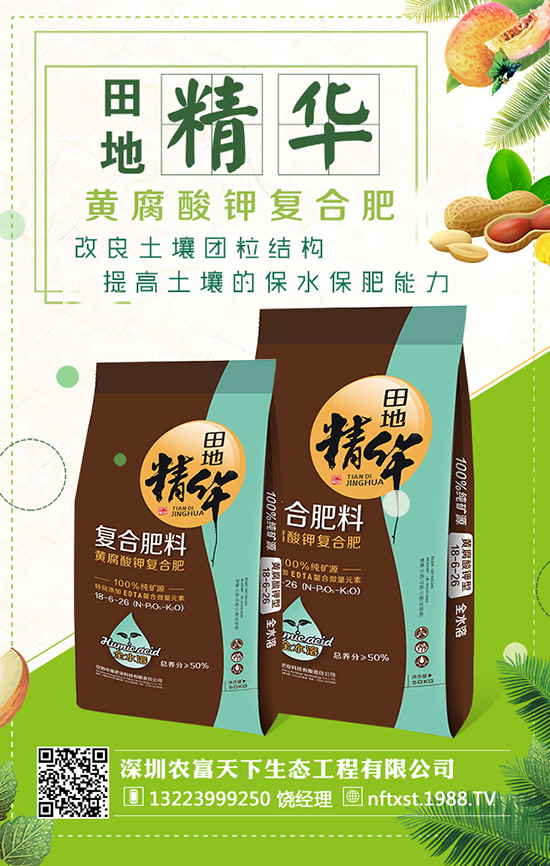 ���w���N�r�g ���w���N����