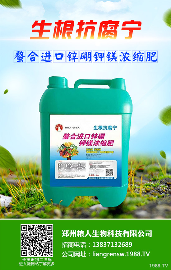 ���E����Щ�I�B(y��ng)�rֵ�����E�ĠI�B(y��ng)�rֵ����Ч����