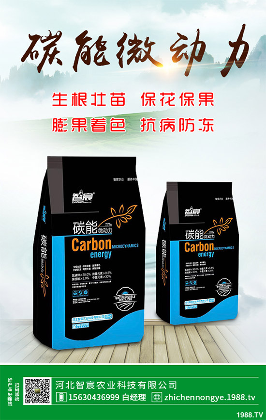 ħ��ԓ��ô�N��ħ��߮a(ch��n)�Nֲ��������