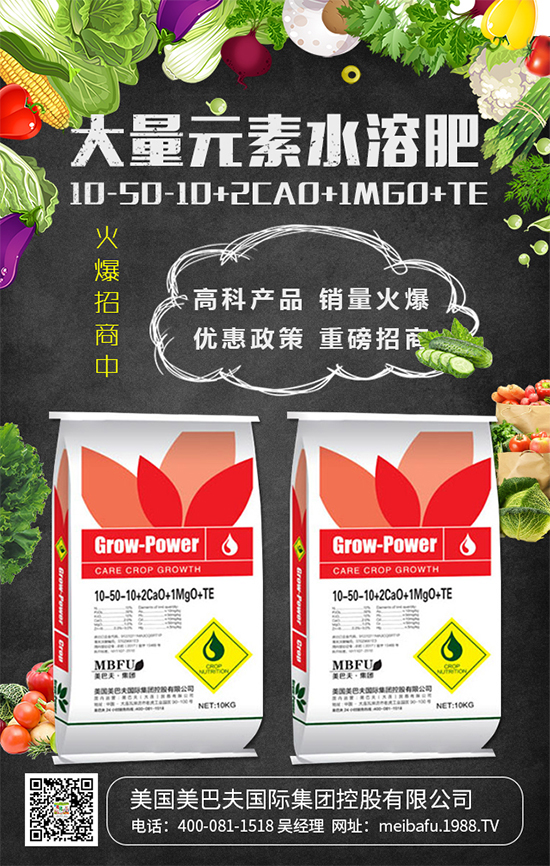 2020��Nֲʲô�߲˒��X�᣿2020��Nֲʲô�߲�ǰ������