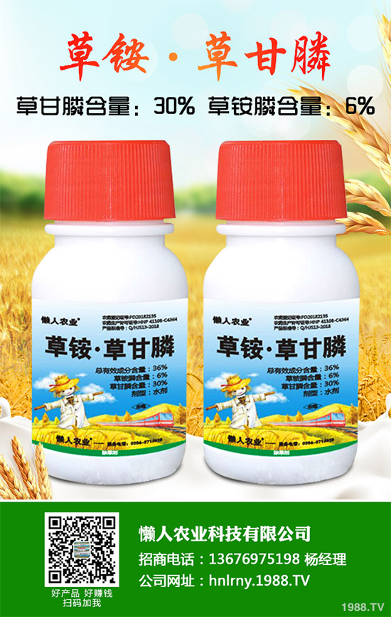 縷、灰藜的勁敵來了青海成功研發(fā)一種微生物除草劑