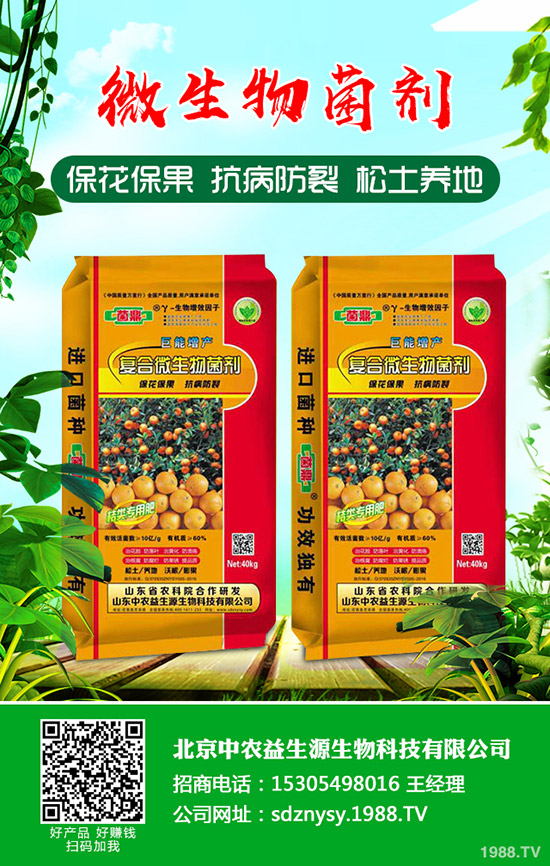     ����һ�@���β�ُ�����嵭��2019-12-12����һ�@�r�����