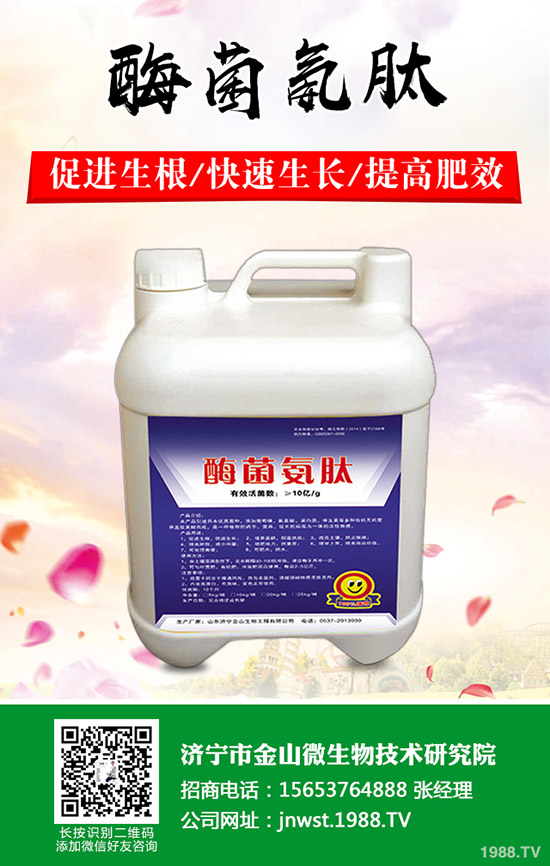 ���Ә���ô�޼������Ә���޼���������Щ����