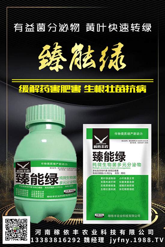 ��N�S�ʺܳ�Ҋ��Ԫ�غ�������������Ҫ֪���c�M��������