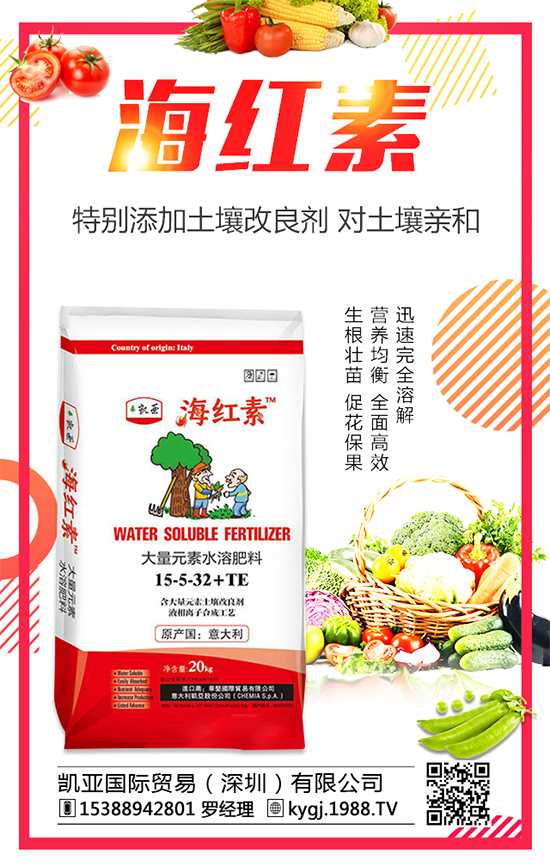 2020�껨���Nֲǰ�������������Nֲ�ĳɱ�������������	