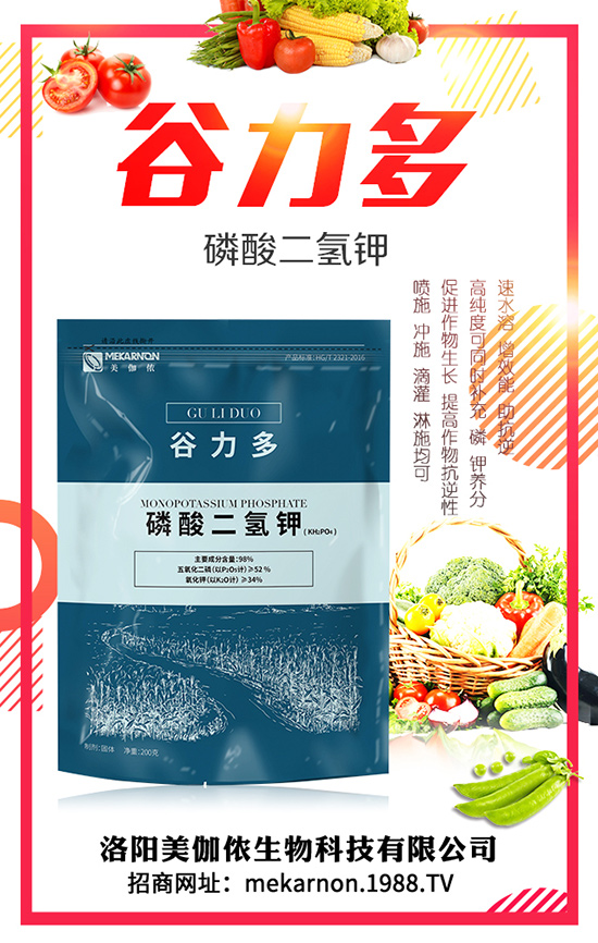 �S�ҷNֲ�r�� �S�ҷNֲǰ�� �S�ҷNֲ����