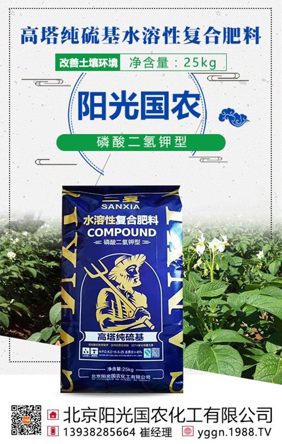 ���w�������@�ӵ���