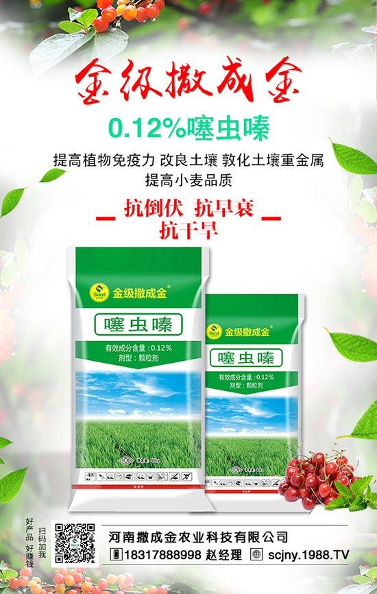 ���Է��ϊZ�����B��������