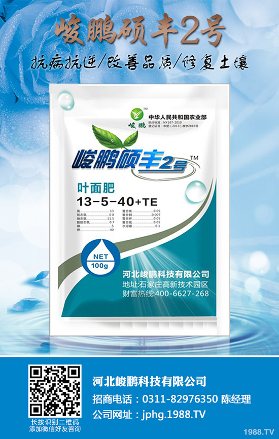 ����ʲô�r(sh��)��׷��������׷��ע��Ҫ�c(di��n)��