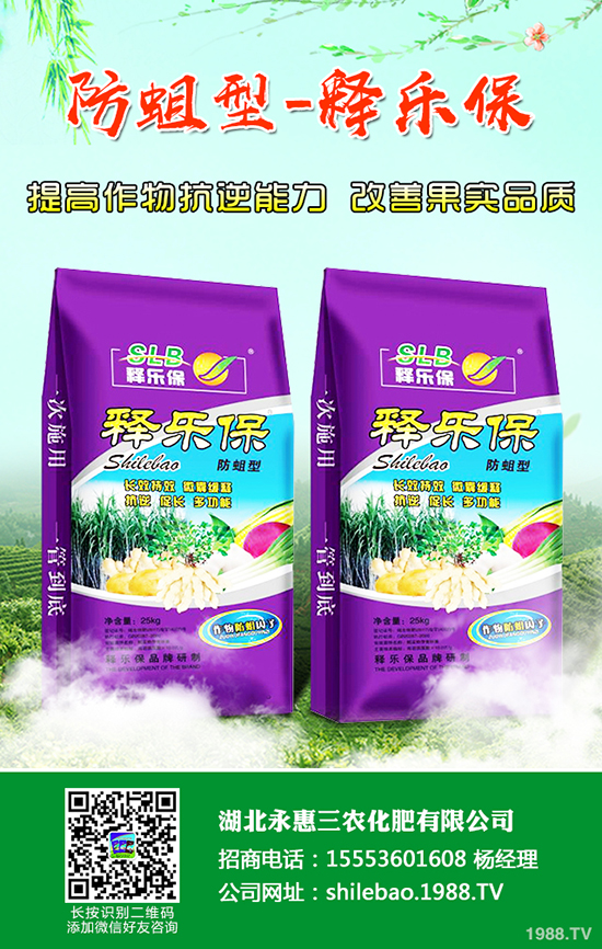 ���@�r(ji��)��Ҫ�q�������؅^(q��)���@���S��(b��o)�r(ji��)һ�[2019-12-21