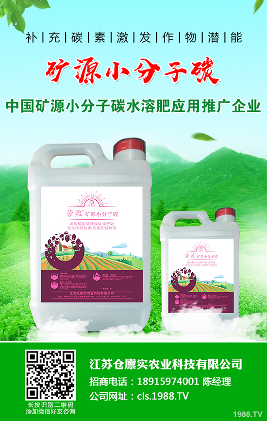 ����������m(x��)����(sh��)��2019-12-21�����������؃r(ji��)�����(b��o)