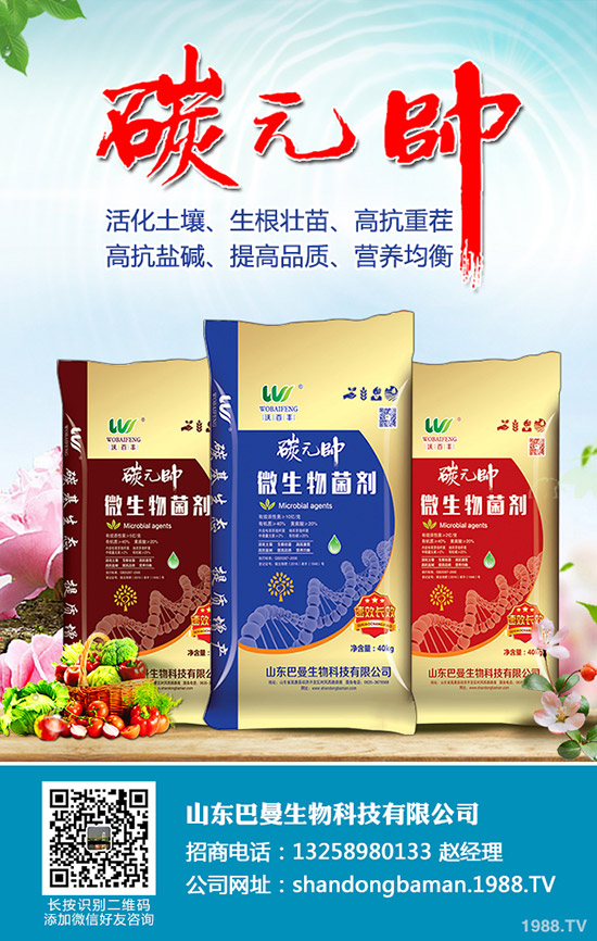     ���؃r��С����׃����12��24�ո��؅^(q��)�����������S��r��