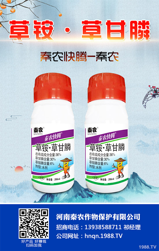 Prentiss�������������s�ݳ��݄�Camp-D ��2��4-D�Ͱ��������