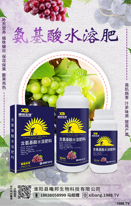 ����Nֲʲô��ٍ�X��2020���ߴ�ٍ�X�Nֲ�(xi��ng)Ŀ�����(l��i)��������