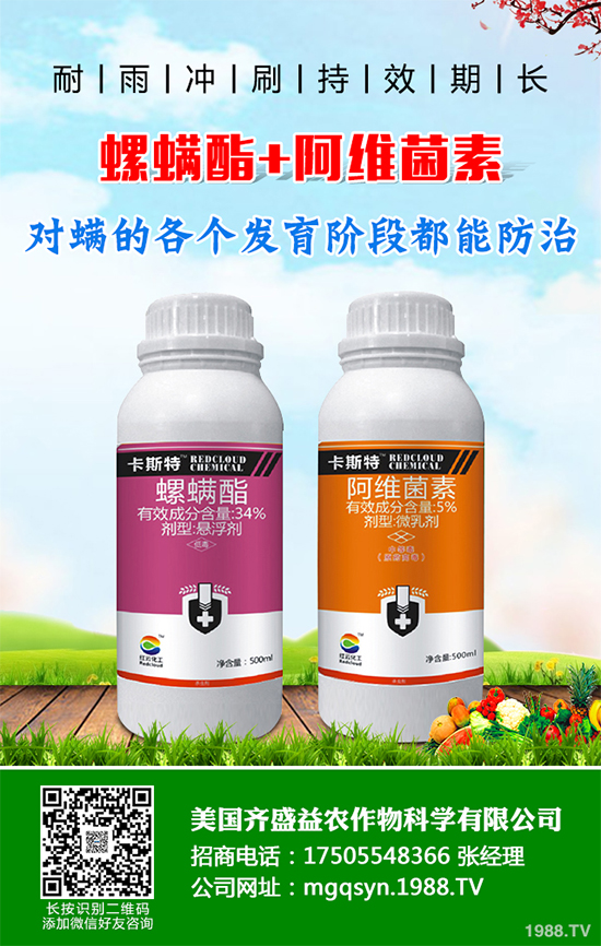 ؐ˹���M���Y���K����3.63�|Ԫ ���ڶ������`�������x���µ�ϵ�Юa(ch��n)Ʒ�Ŀ�Č�ʩ