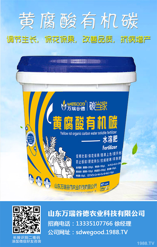 ħ��r������Xһ�2020��ħ��Nֲ���Ј�����