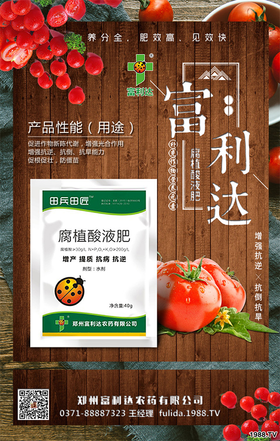 �Nֲʲôˎ����ٍ�X��2020����ˎ�ķNֲǰ������