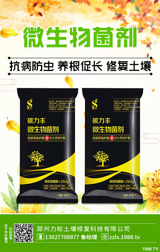 �Nֲʲôˎ����ٍ�X��2020����ˎ�ķNֲǰ������