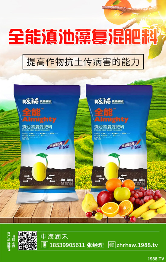 ���r����͸���������Щ�^(q��)�e���ǂ�(g��)Ч��������