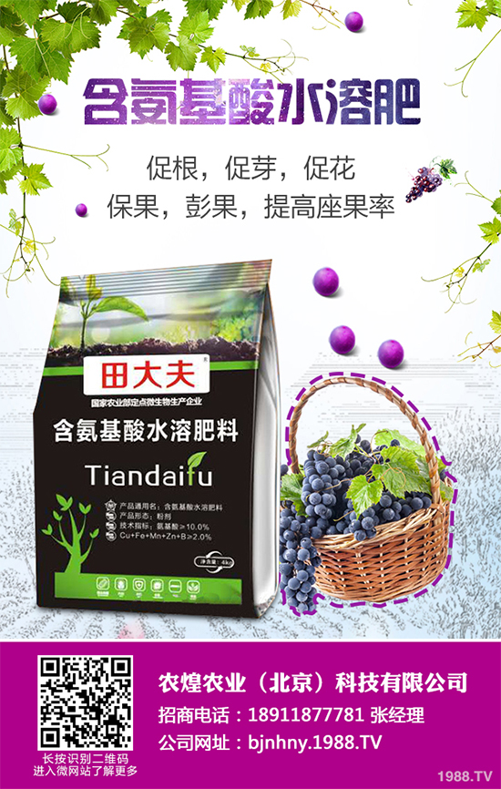 ��ѩ�^�����߲˴�����֪��ԓ��ô�������