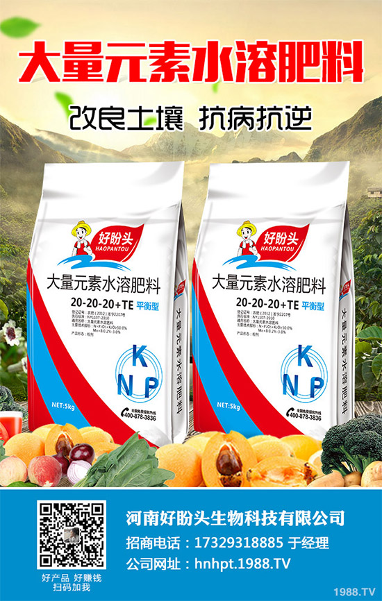 ������֪���Ľ�ɏ���p���ų����w11�N���أ�