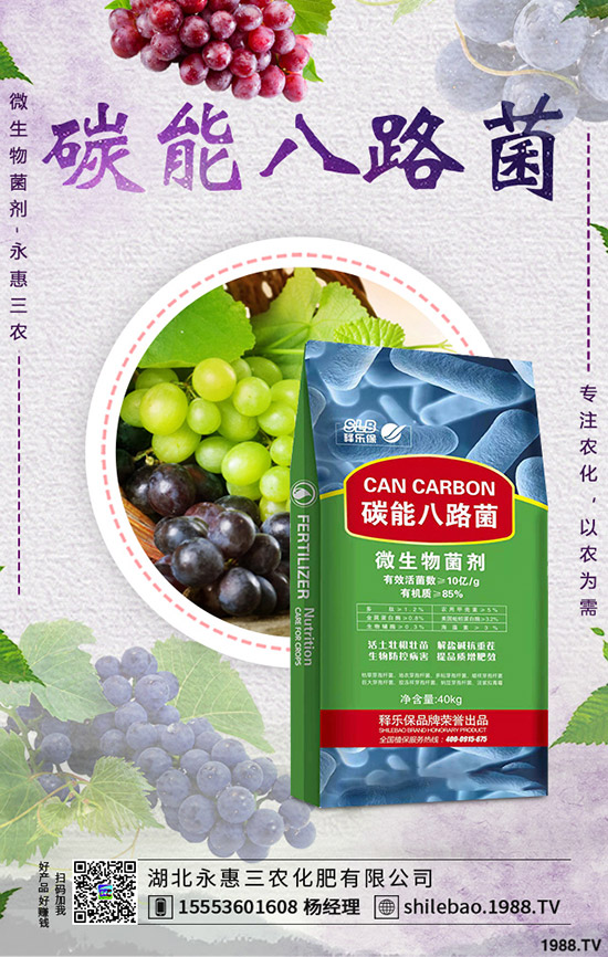     2020��1��1���µ�һ�����@�r����������������һ�@���S������r��