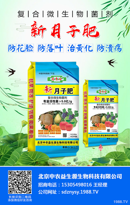     2019-12-5���@�����߄�(sh��)ƽ��������������@�r(ji��)�����(b��o)��