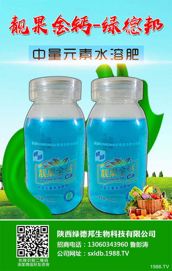 �����߲�����ЩƷ�N�������߲˵ķNֲ�l����ע�����(xi��ng)