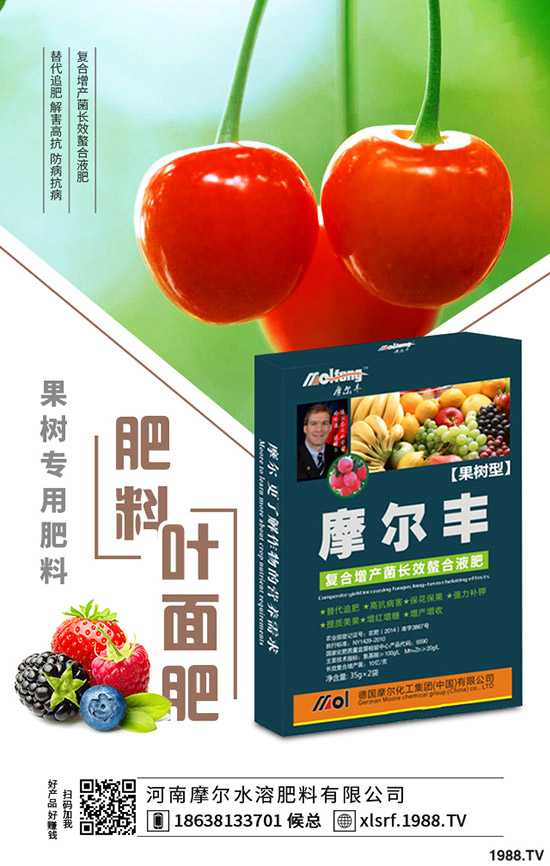 黃精種植到底掙不掙錢?黃精種植要點(diǎn)分析!