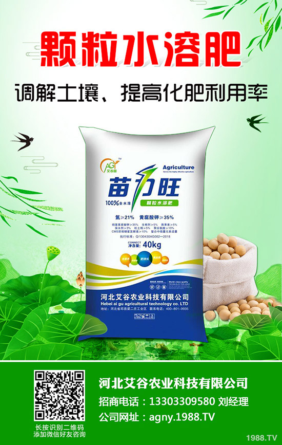 西瓜種植要高產(chǎn),不可不看這一篇!全面實(shí)用