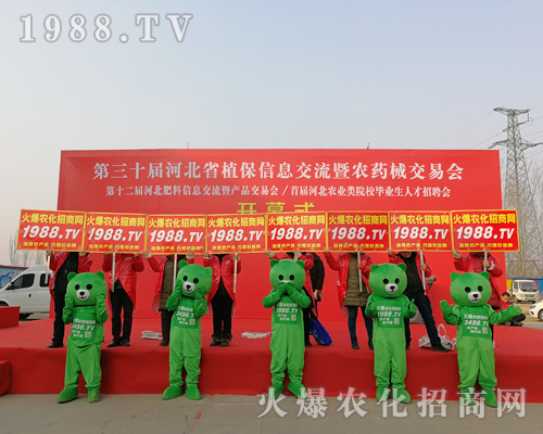 ���r���W(w��ng)�F�Yһ�y�ֲ�������2019�ӱ�ʯ���fֲ������