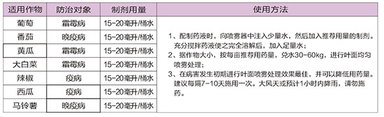 40%ϩ������˪��-�A��˪��-�A������3