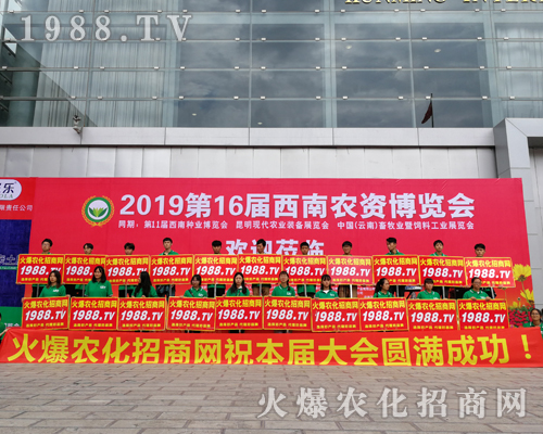     2019�����r(n��ng)�Y���[�������r(n��ng)���W(w��ng)�������o̎����