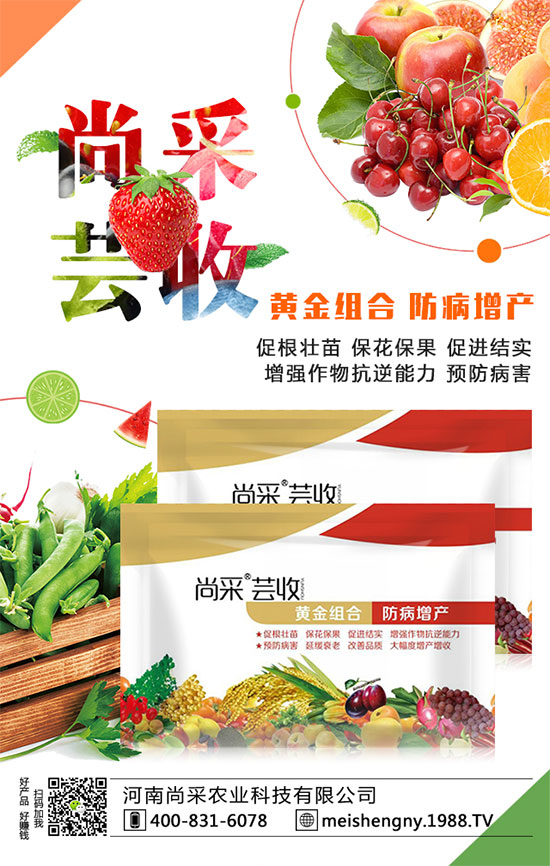 ���������ʵ͵�ԭ����ʲô�������������������ʣ�