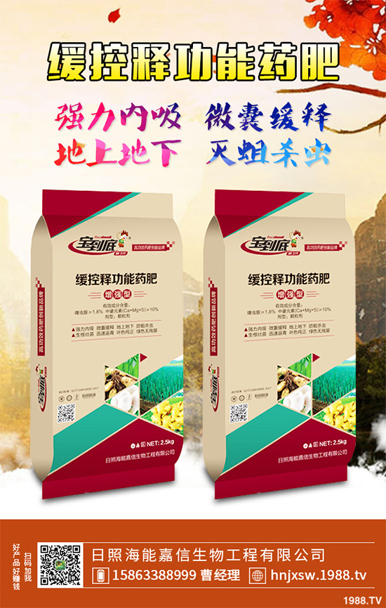 �۲�ԓ��ηNֲ��ע��Щʲô���۲˸߮a(ch��n)�Nֲ����