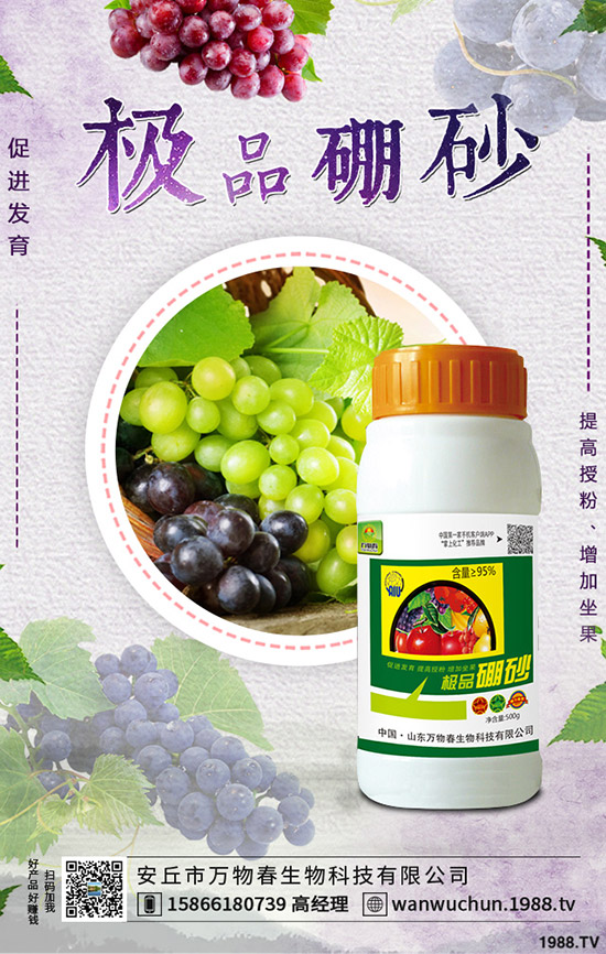 �����ηNֲ����轷Nֲ�l������Щ��