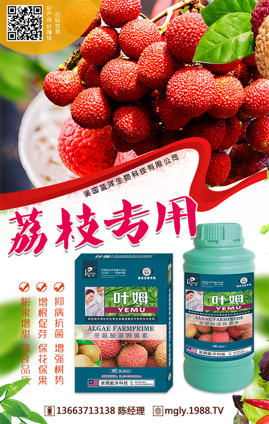 2019��8��29�ս����������@�r(ji��)���Ո�(b��o)���S��(b��o)�r(ji��)