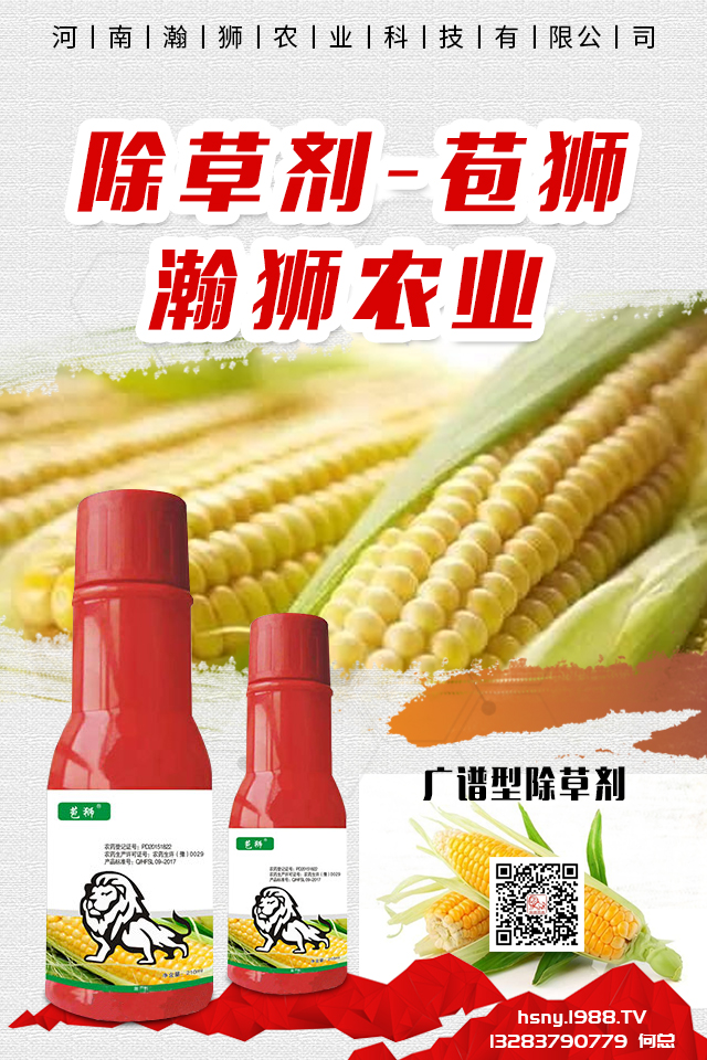 �������x����N���ò������������x����N����B