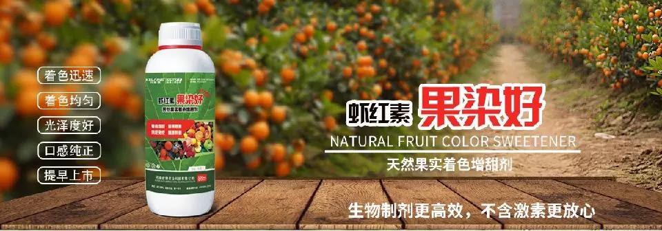 天然果實著色增甜劑——蝦紅素●果染好!