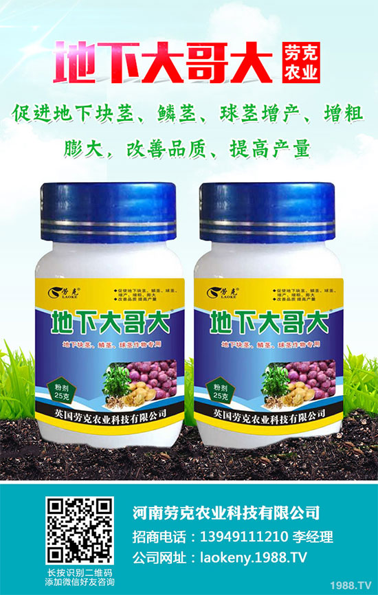 �������Щ�I�B(y��ng)�rֵ���Խ������Щ��̎����˵Ĺ�Ч�c����