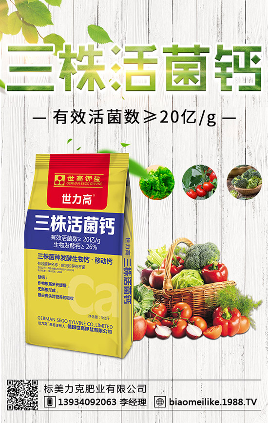 ���S��ʲô�r������������S�������ע����헣�