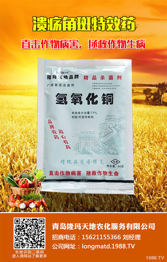 �����������}