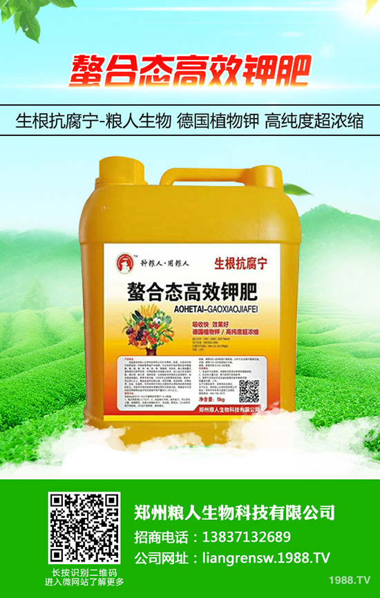 ���y�����ʩ�������y���߮a(ch��n)ʩ��Ҫ�c(di��n)��